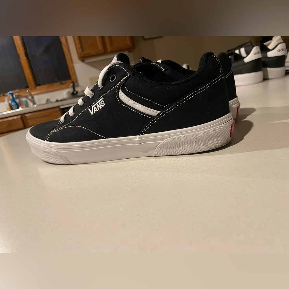 Van’s Men Seldan Skate Sneakers